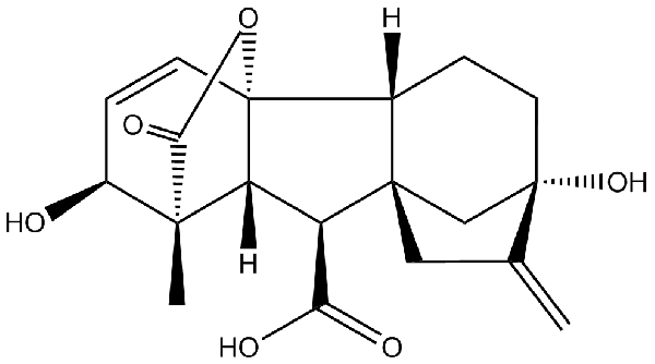 赤霉素GIBBERELLIC ACID，居然有這么神奇？